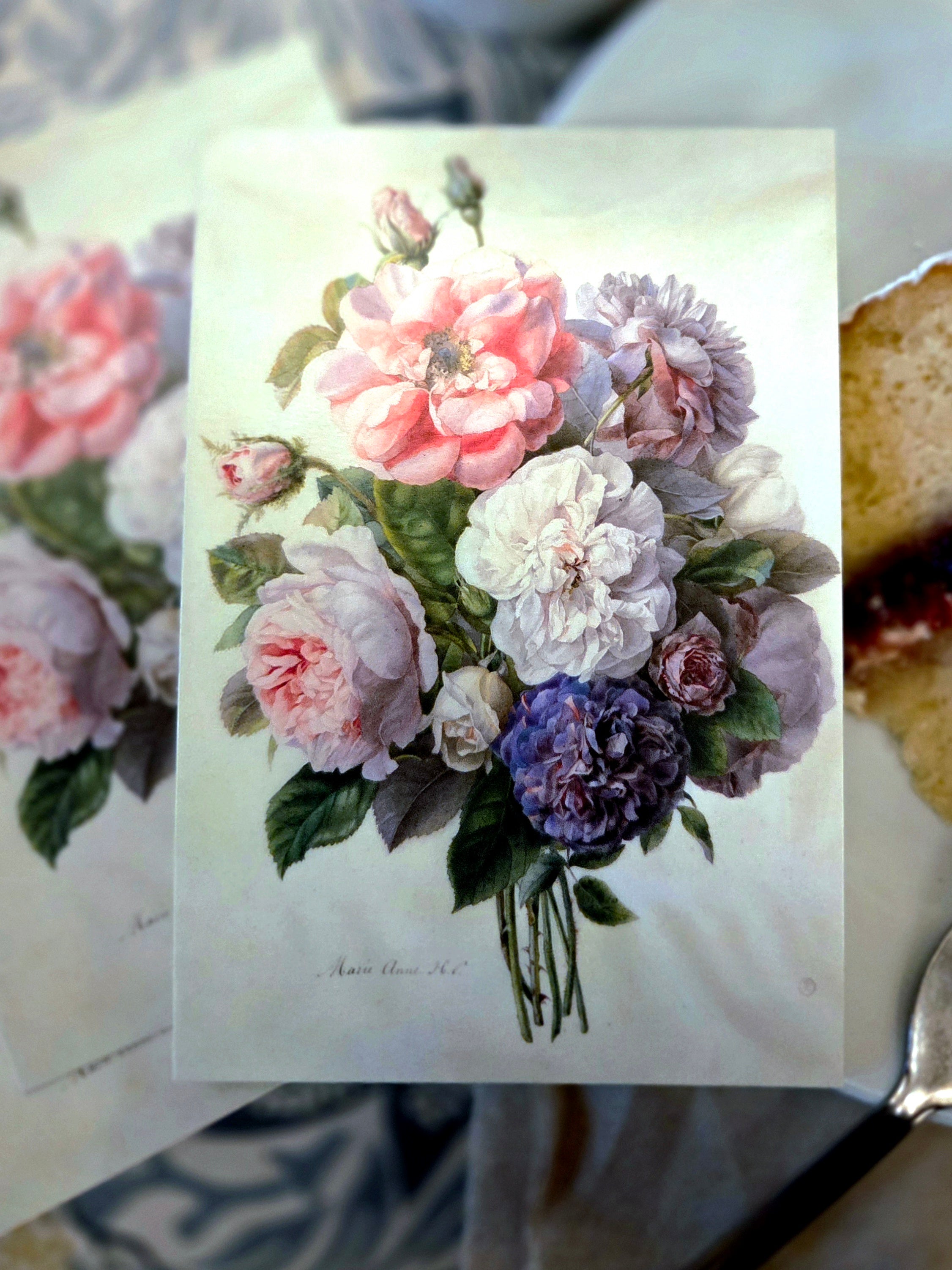 Biblio Flora 精選歐洲明信片