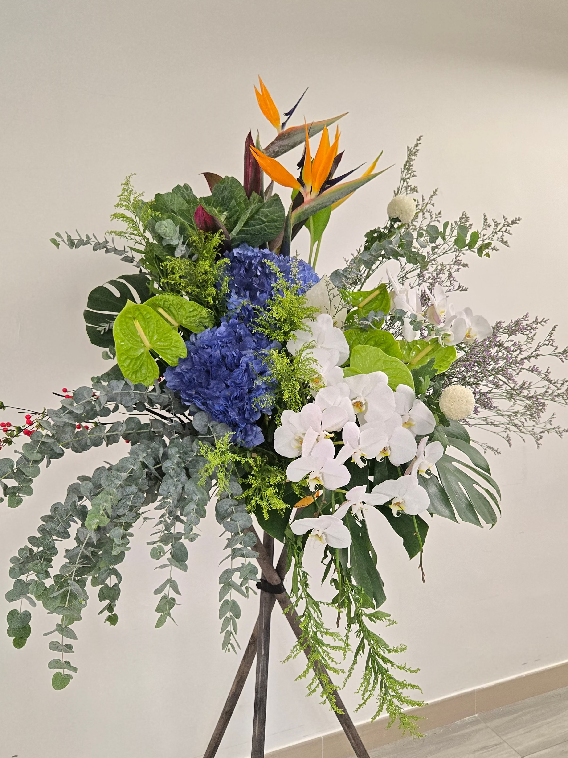 展翅鴻圖 open.809