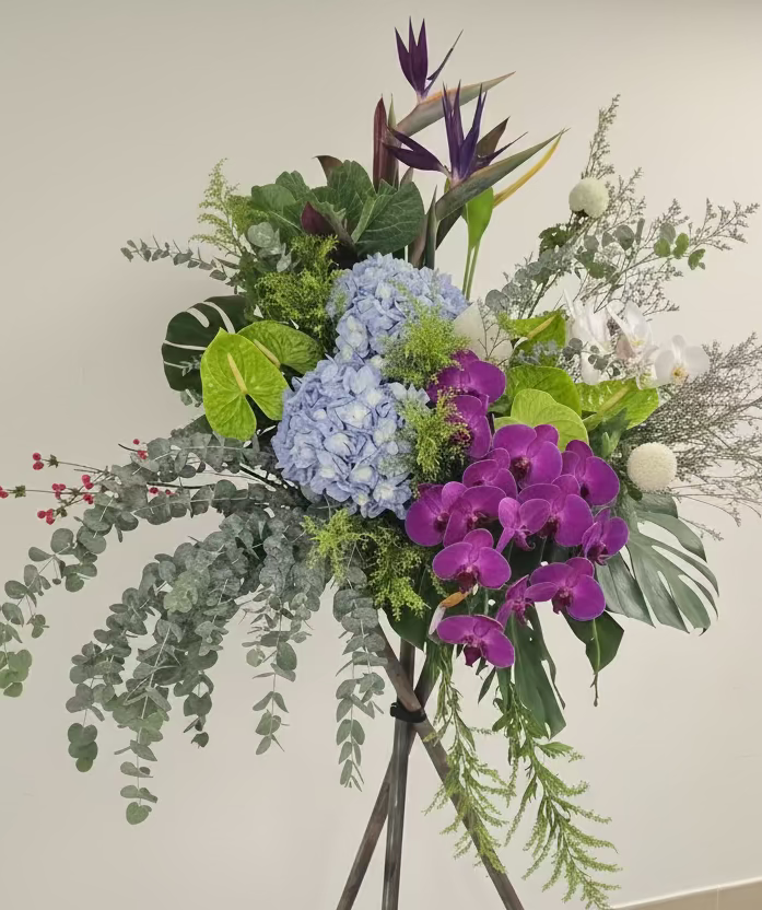 紫藍盛開 open.802