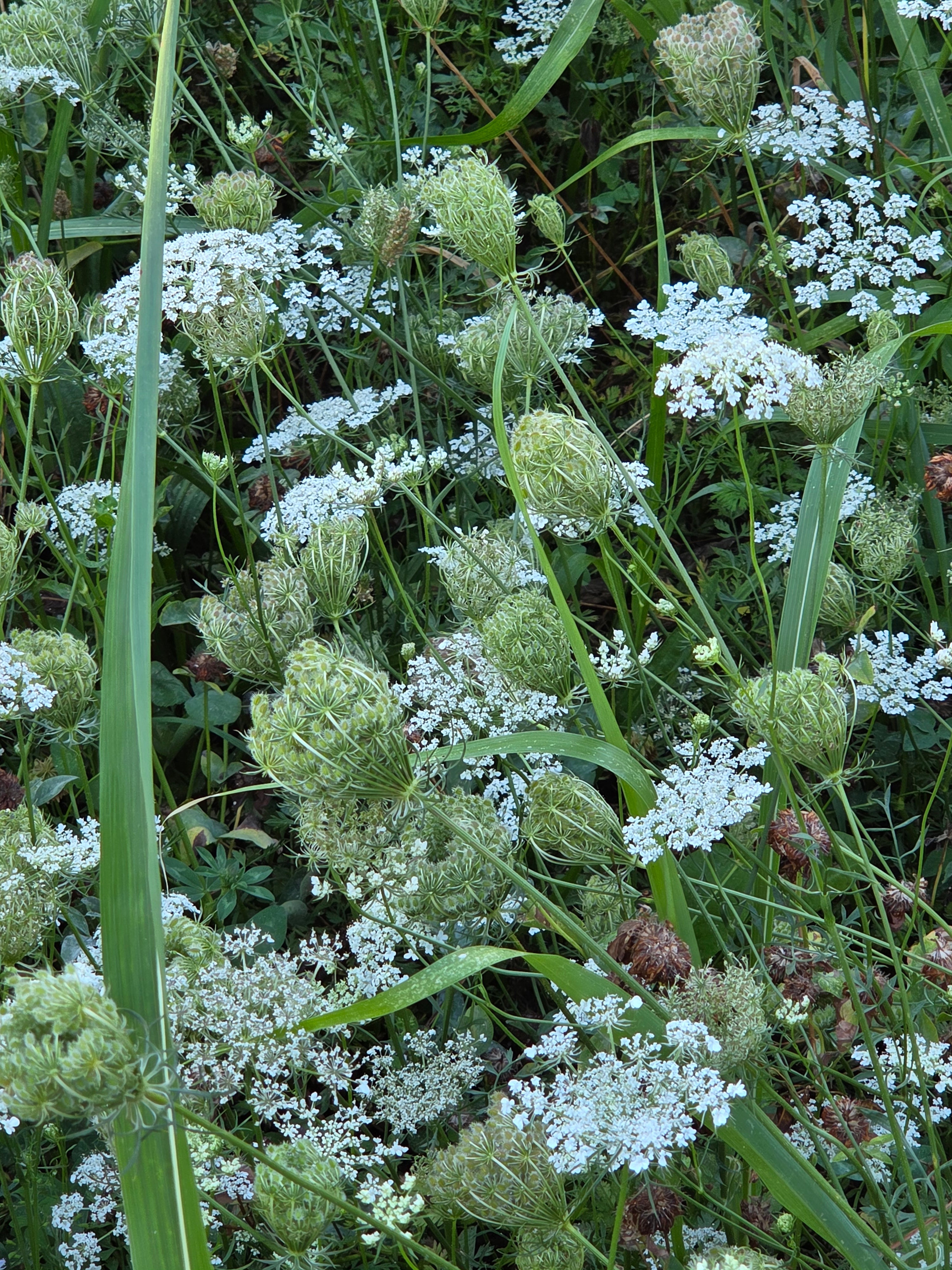 我的攝影集 米蘭