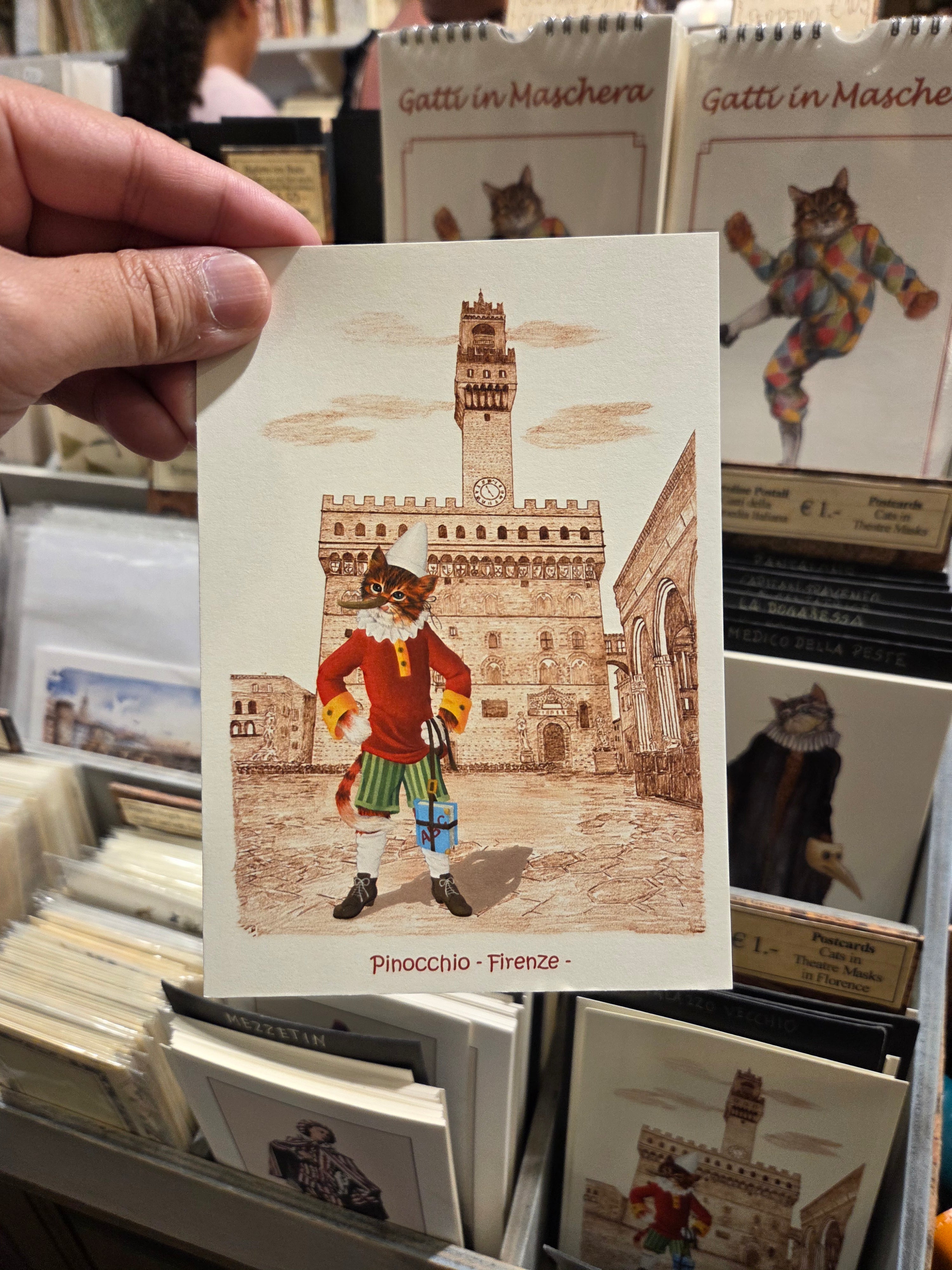 佛羅倫斯 cat .06