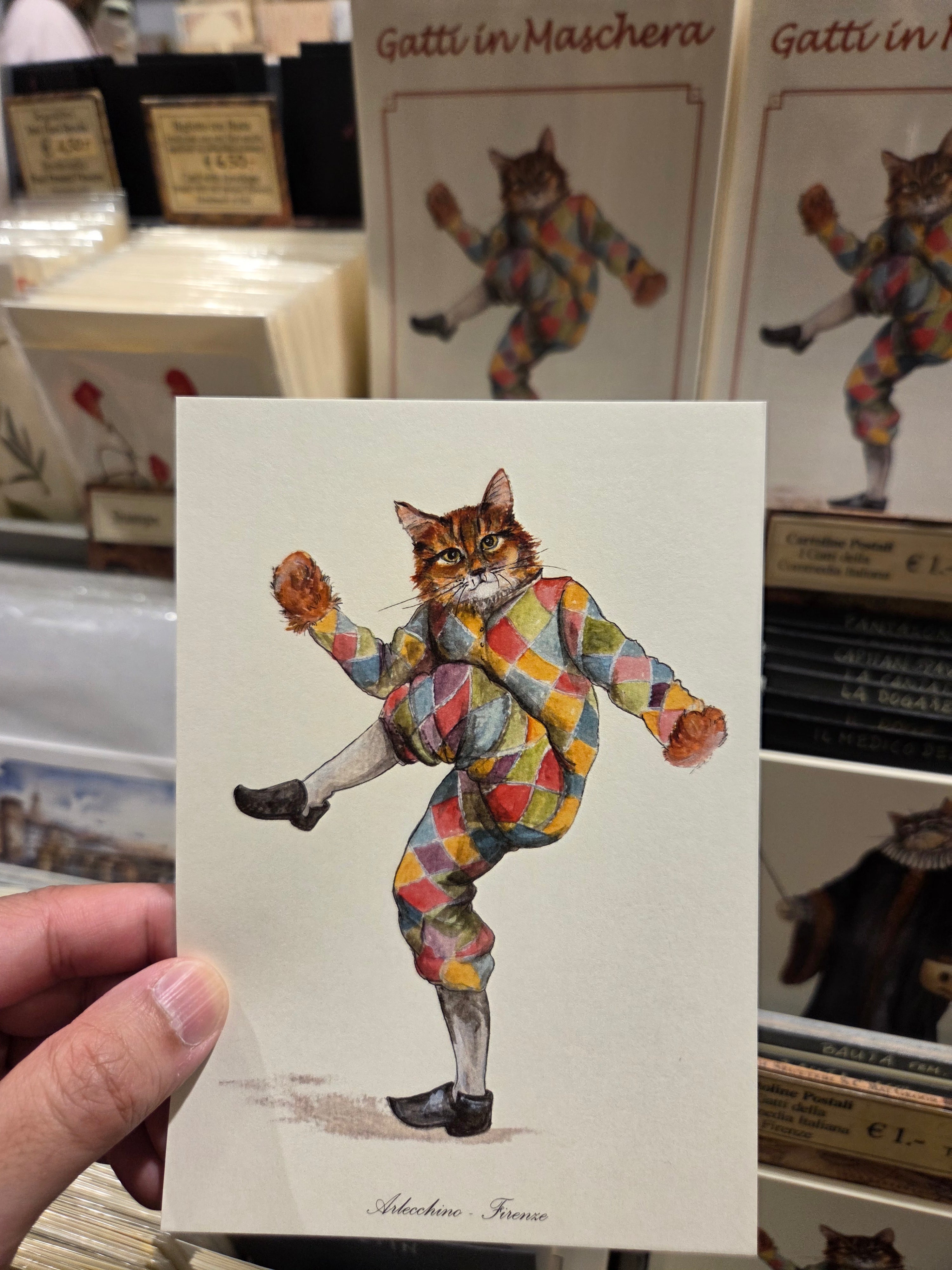 佛羅倫斯 cat .08