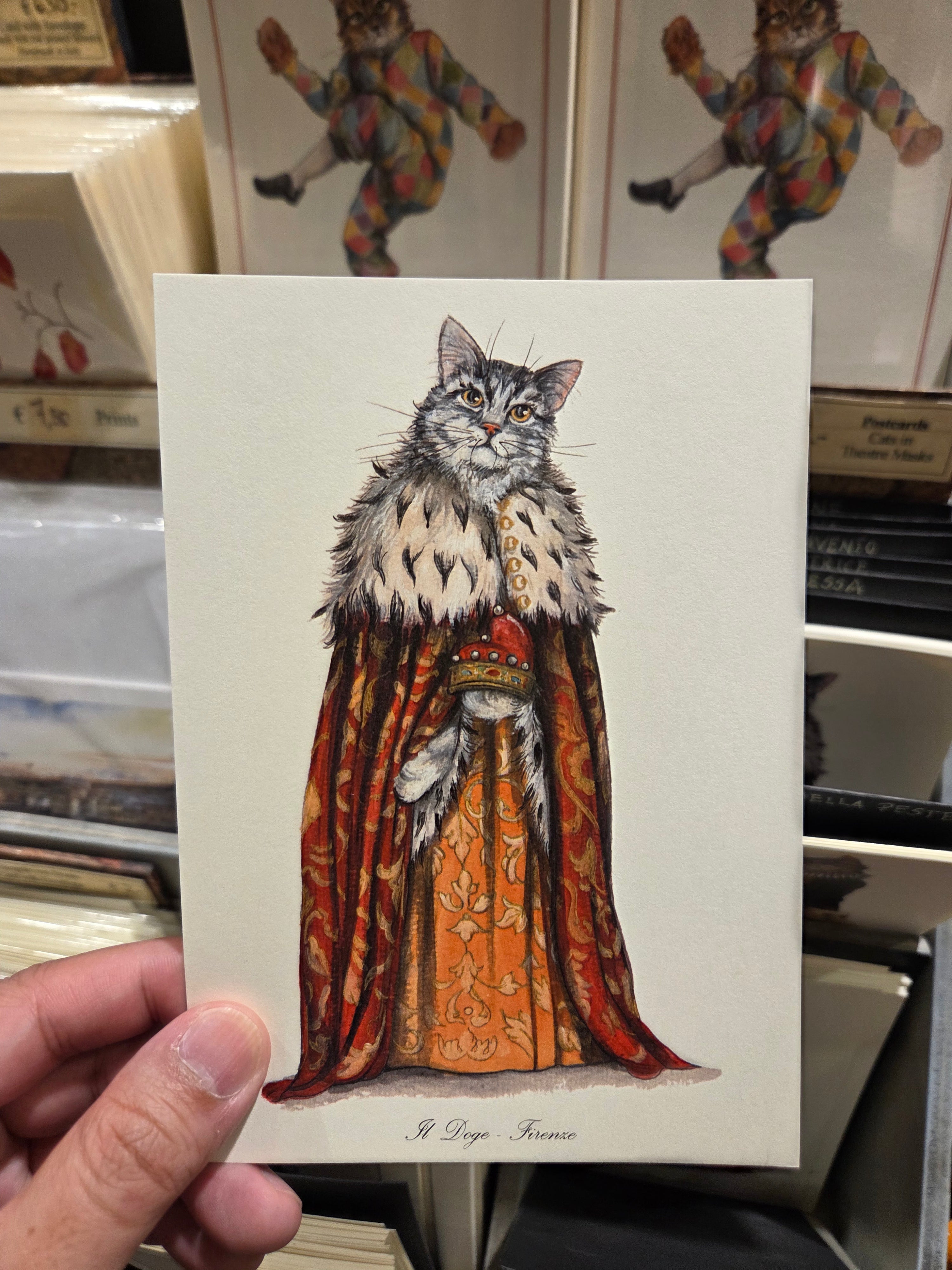 佛羅倫斯 cat .09