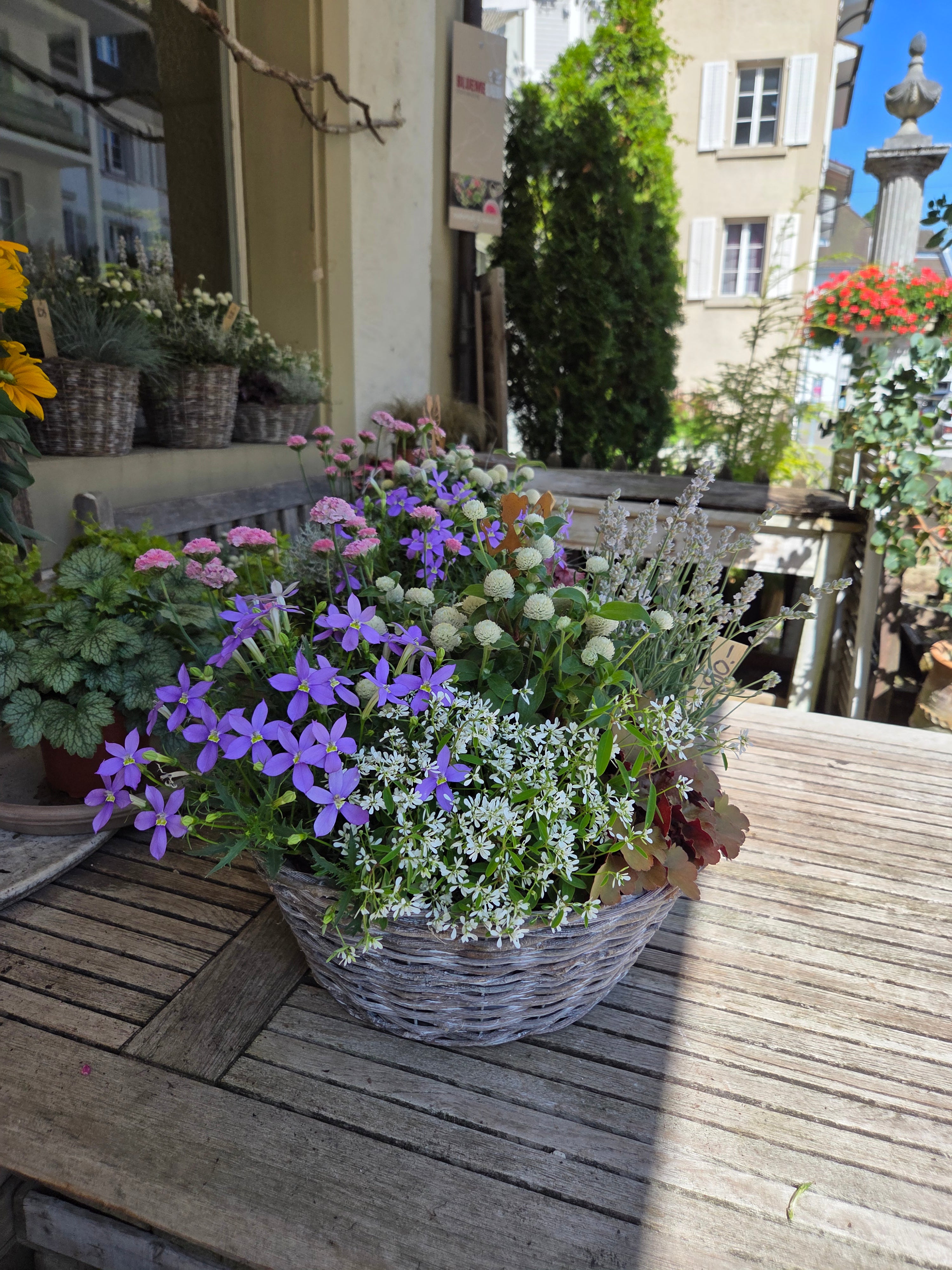 我的攝影集 瑞士伯恩