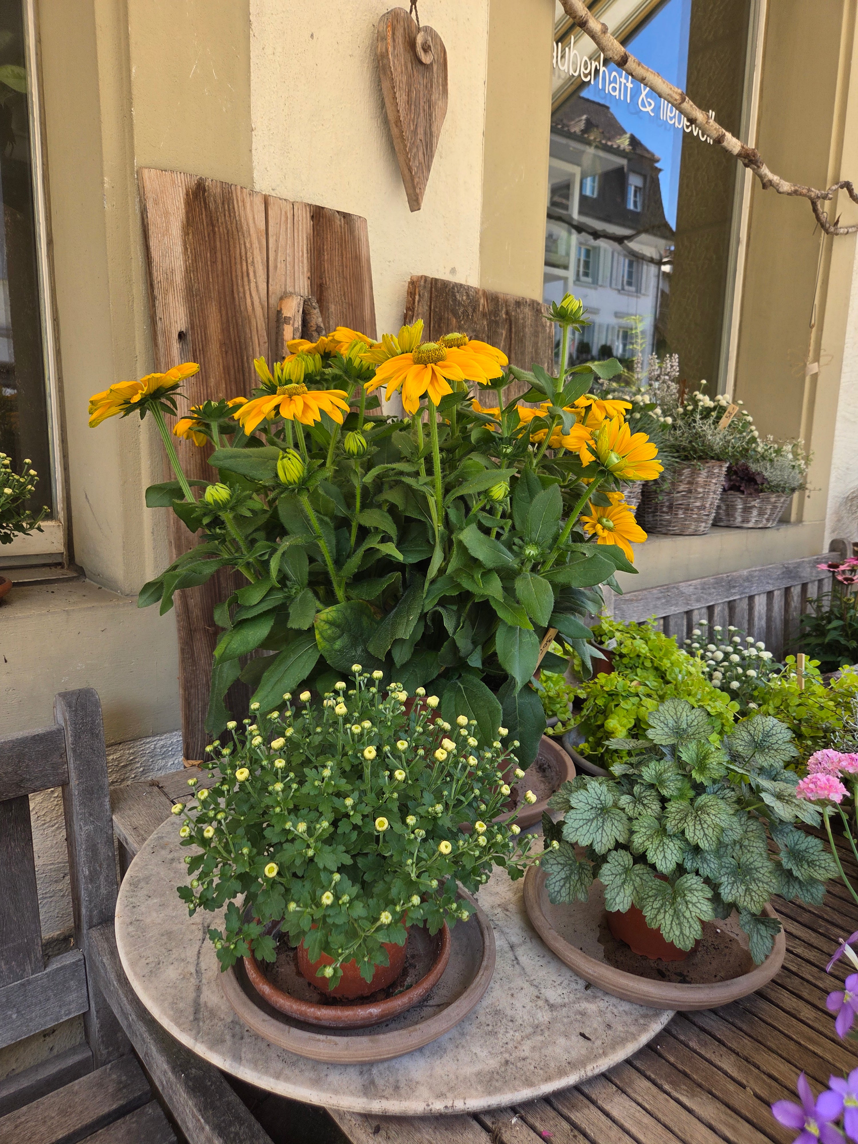 我的攝影集 瑞士伯恩