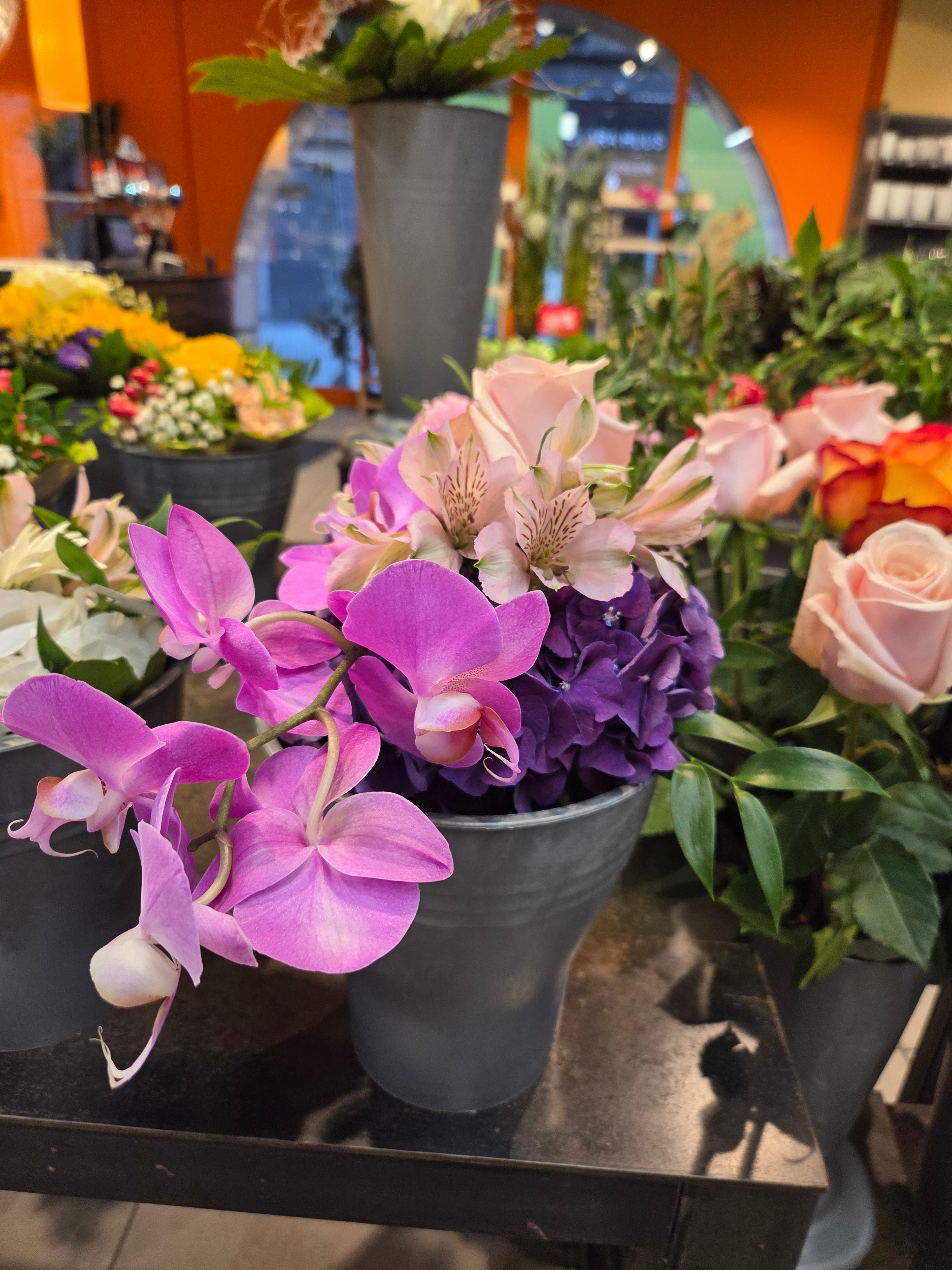 我的攝影集 瑞士伯恩