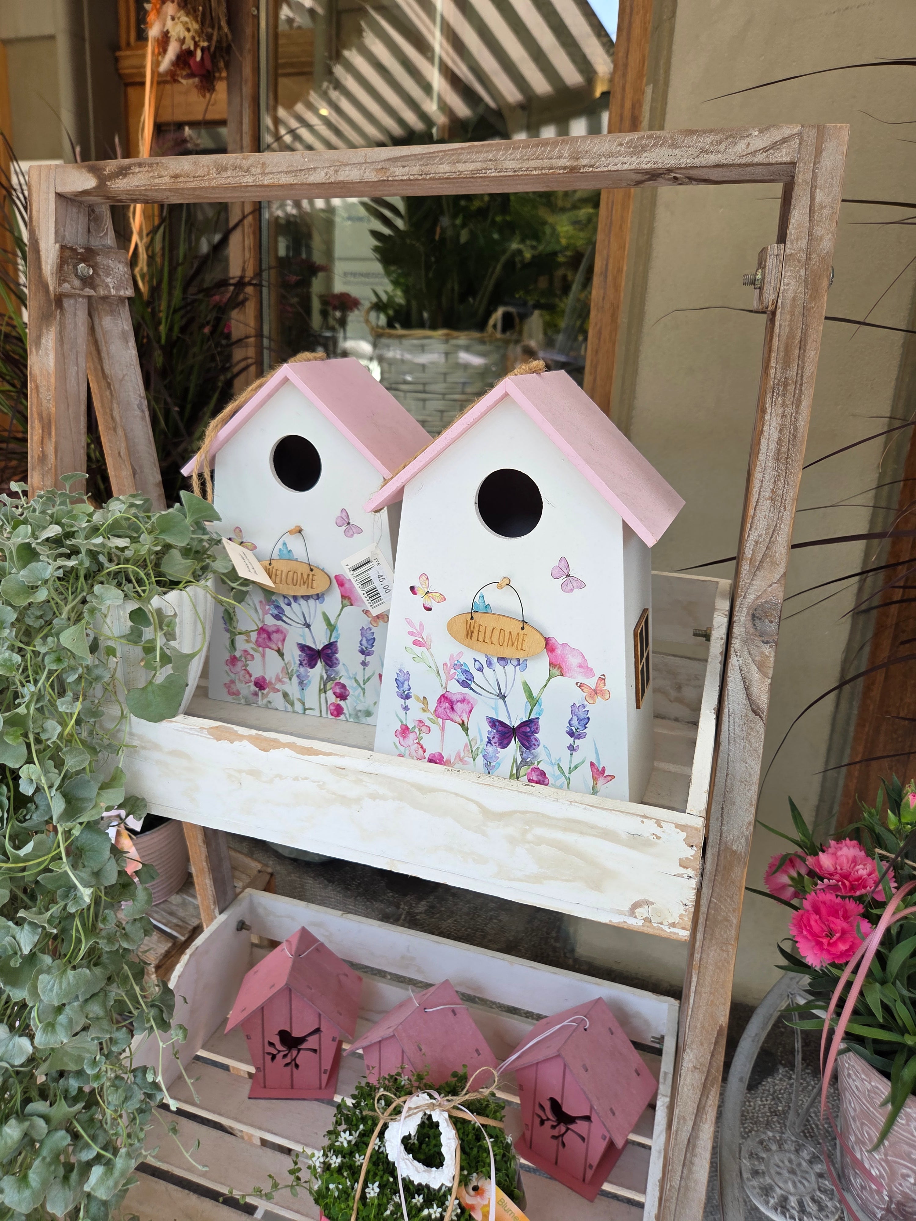 我的攝影集 瑞士伯恩