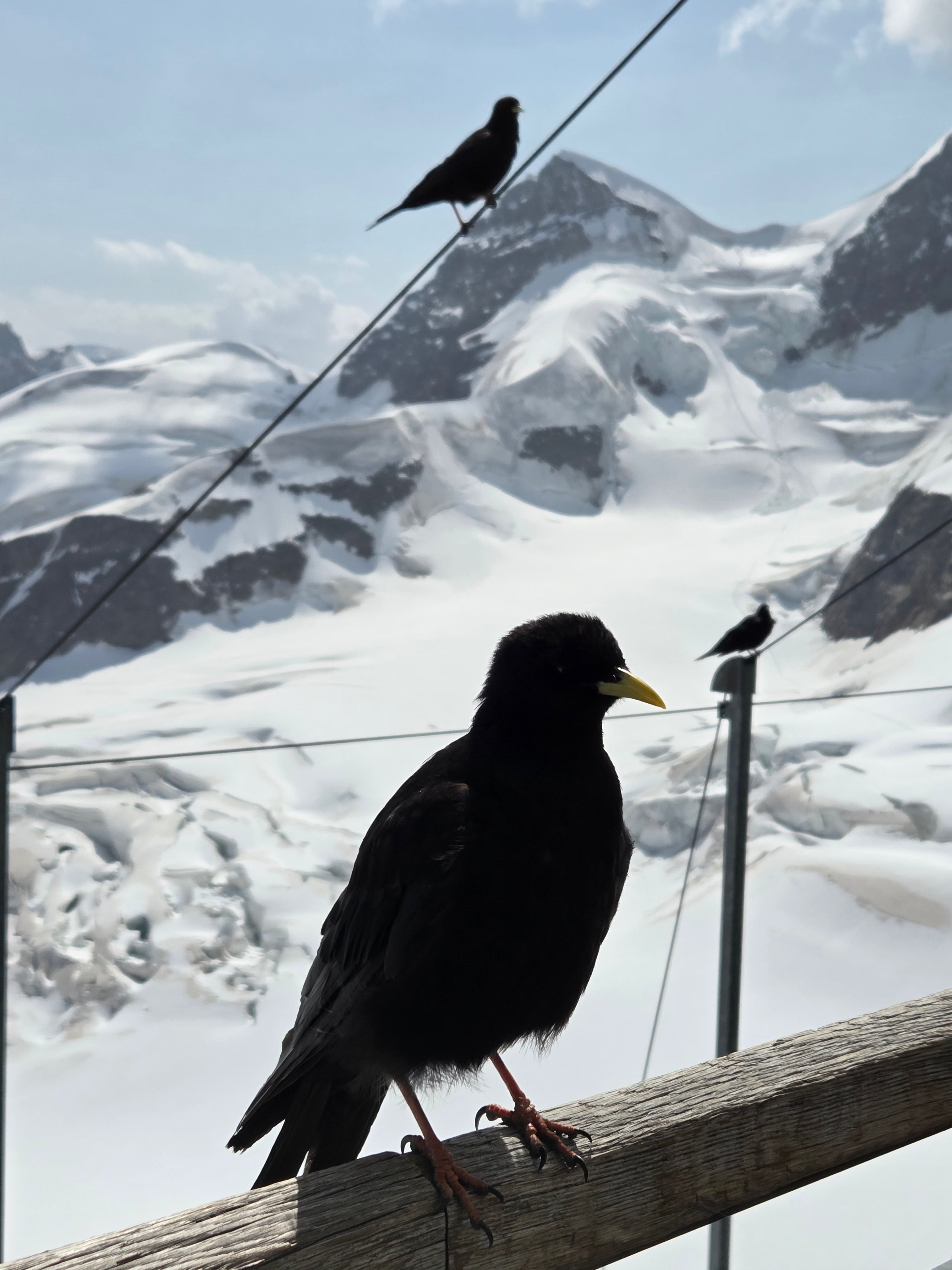 我的攝影集 瑞士陸森