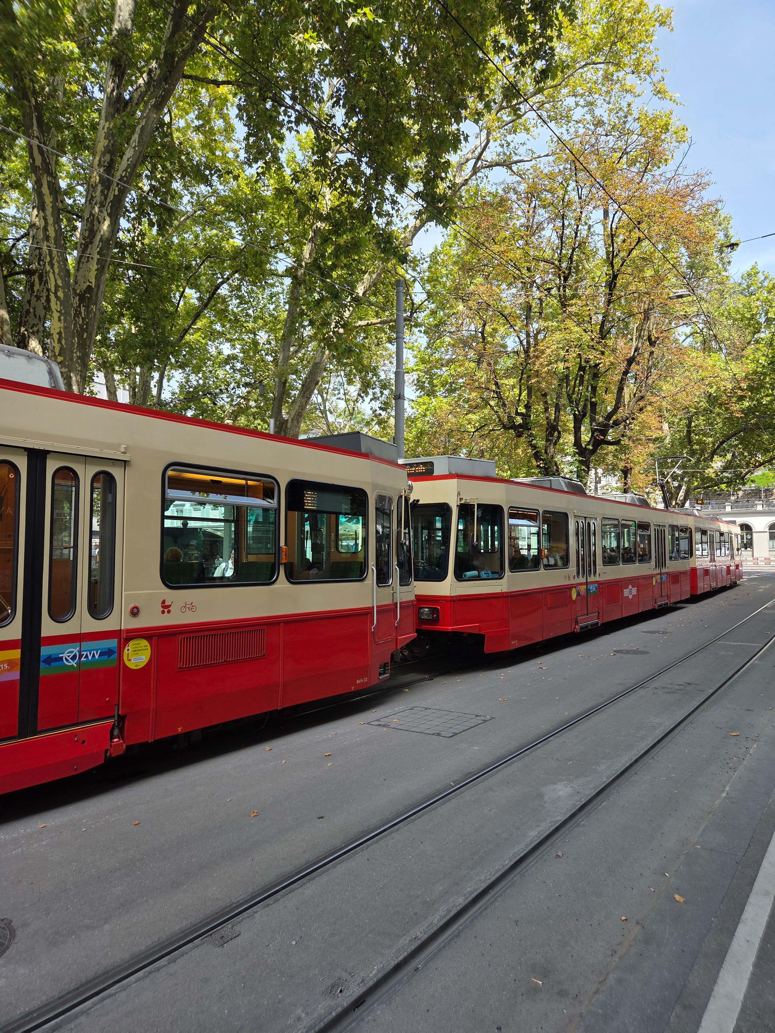 我的攝影集 瑞士陸森