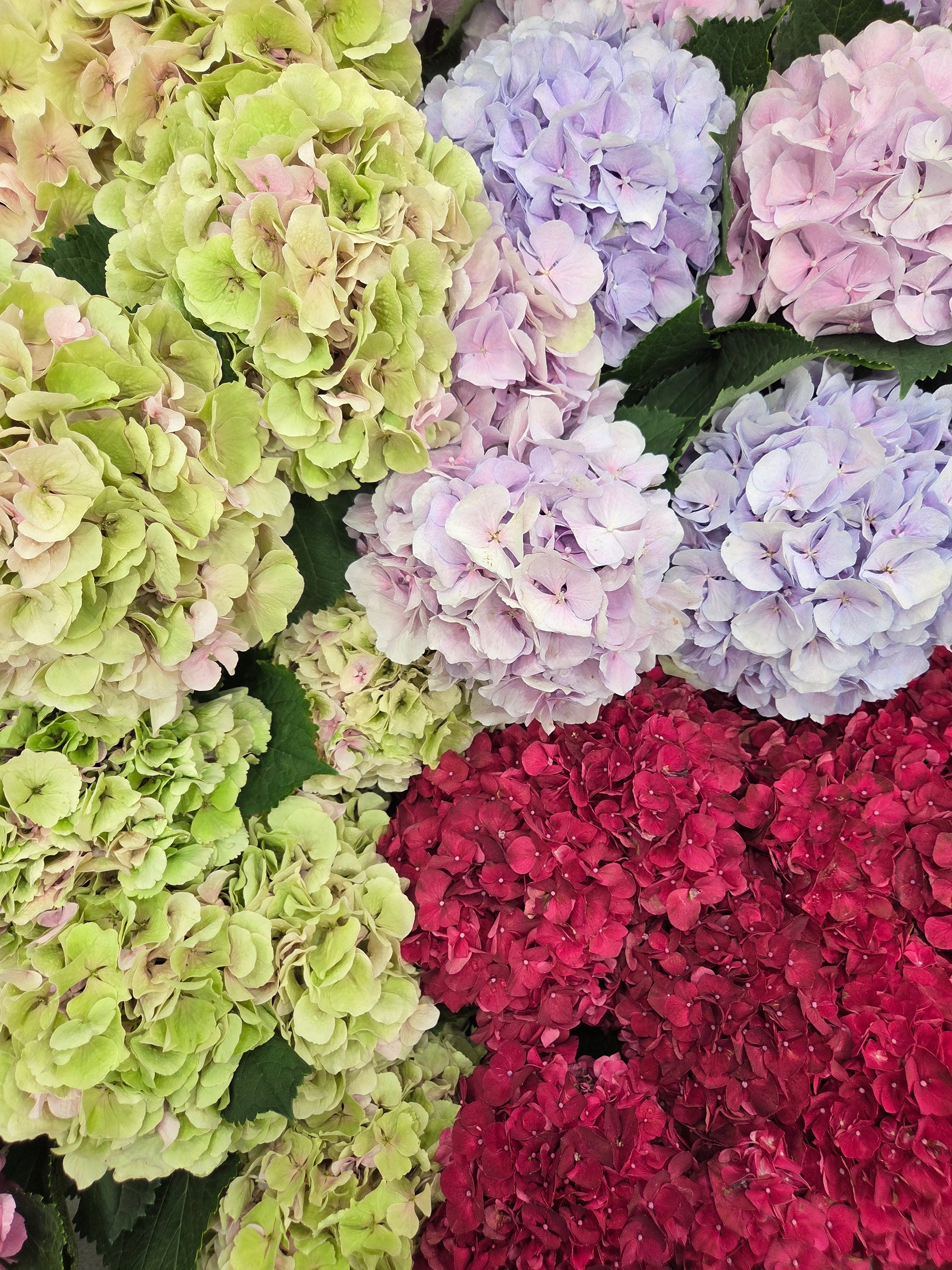 我的攝影集 巴黎