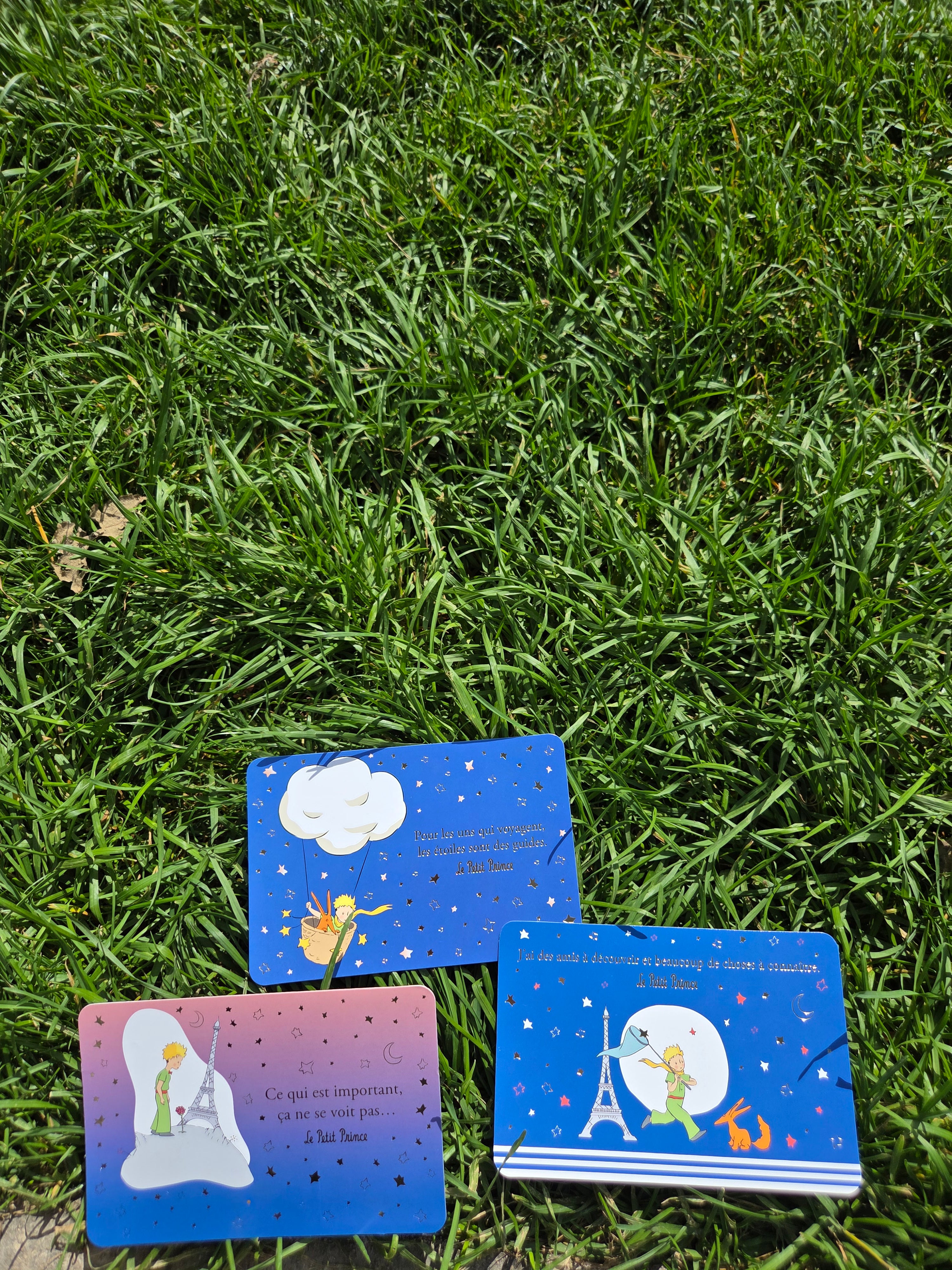 巴黎小王子 隨機款