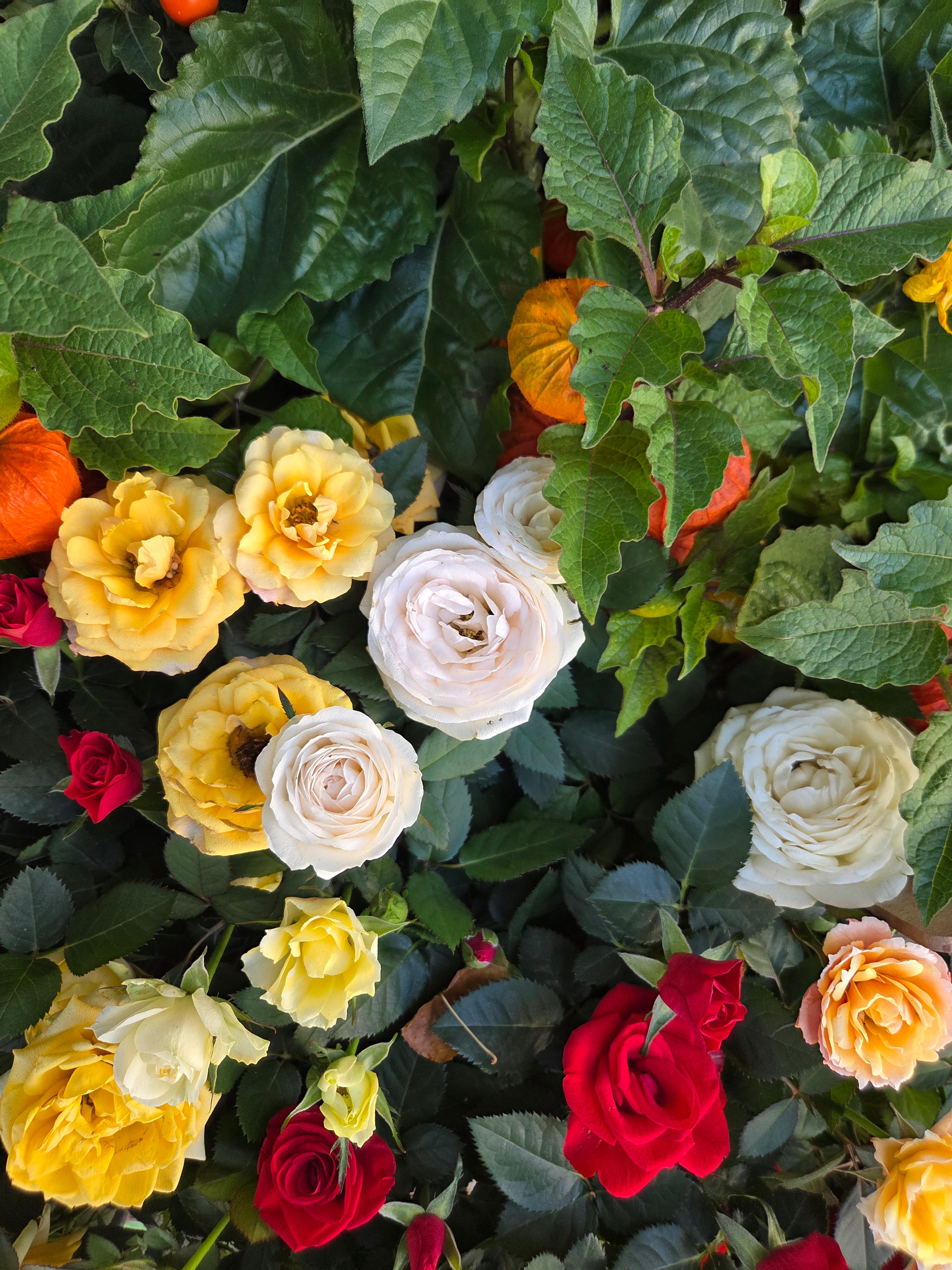 我的攝影集 巴黎