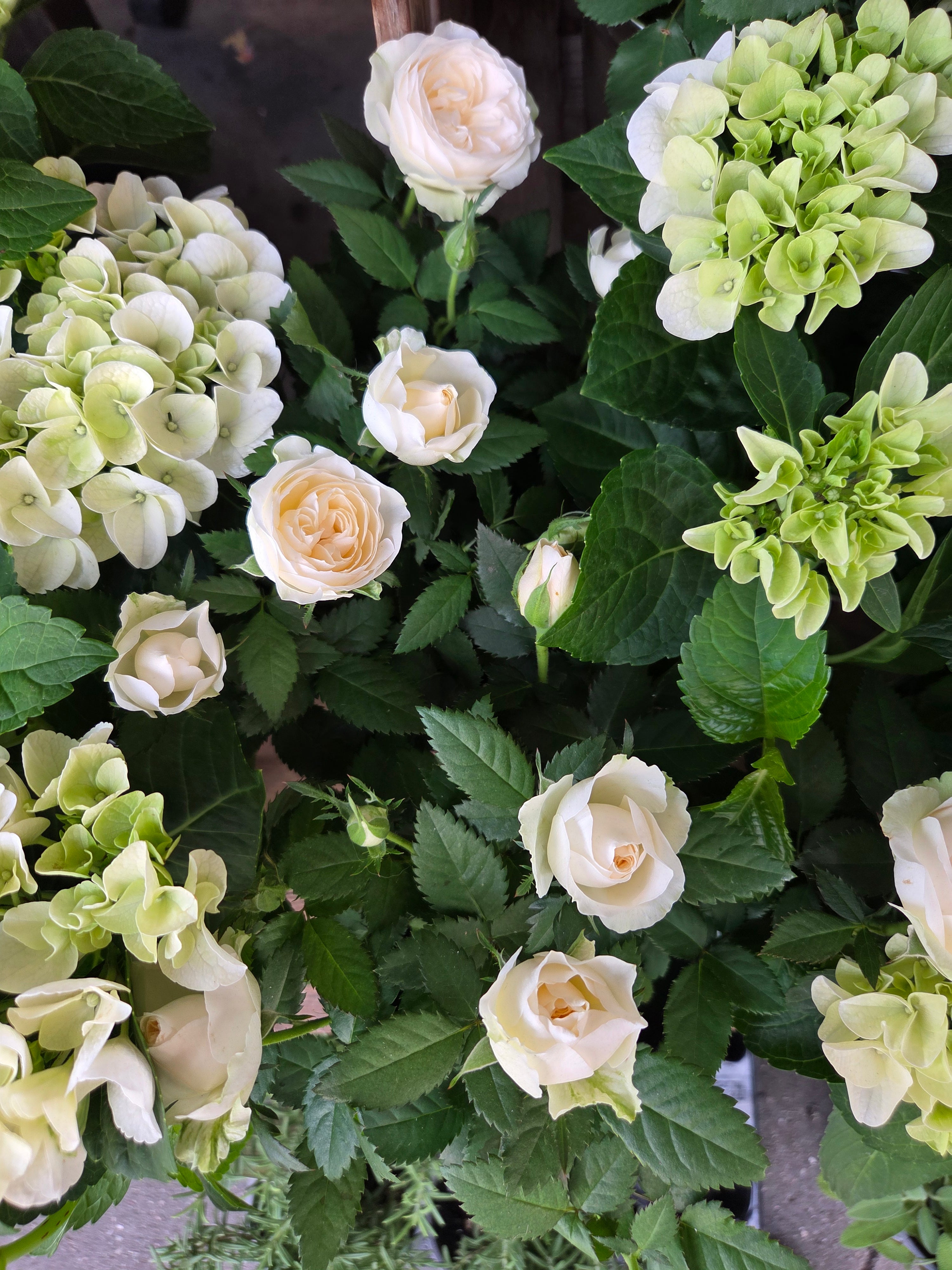 我的攝影集 巴黎