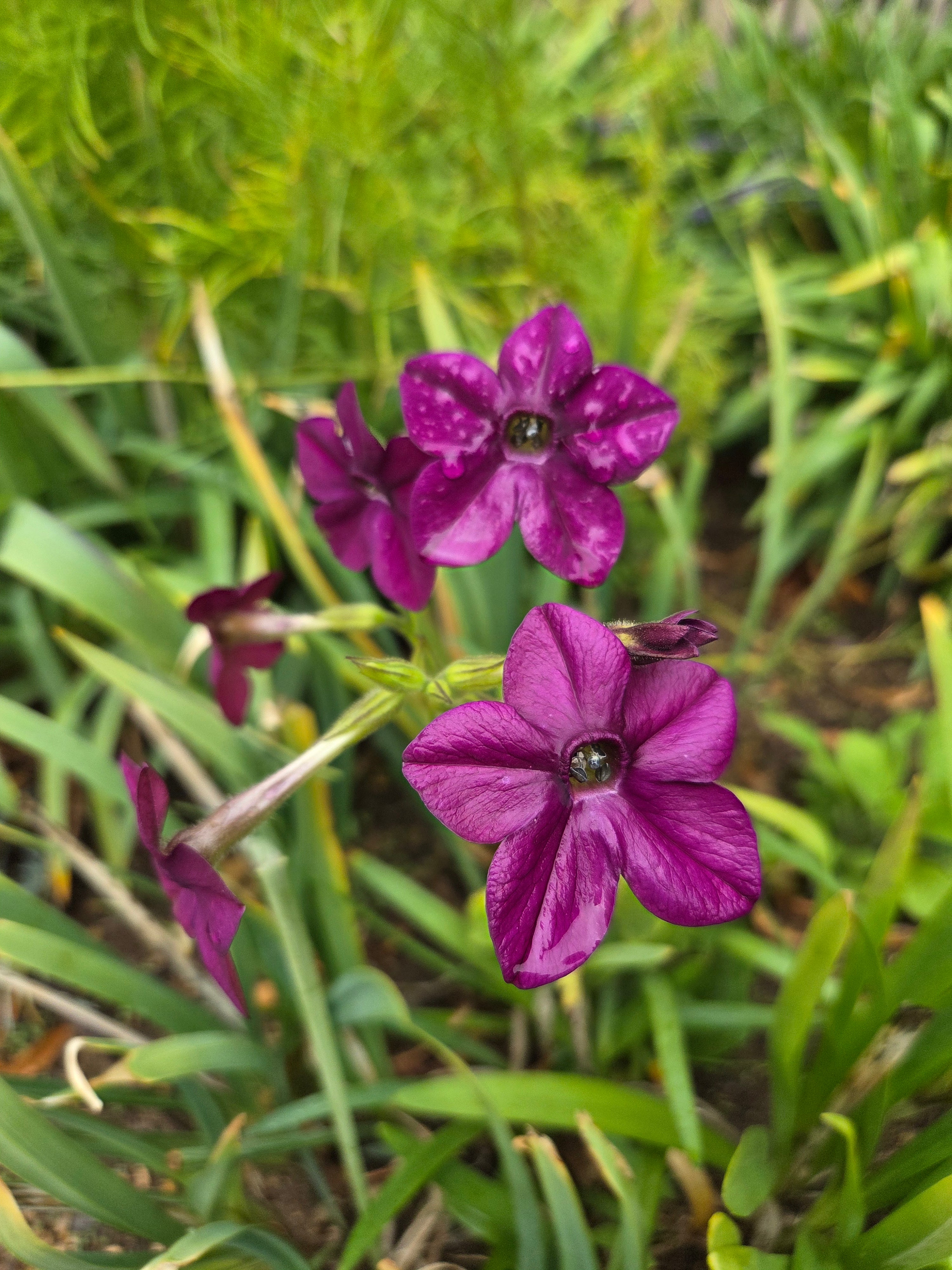 我的攝影集 倫敦