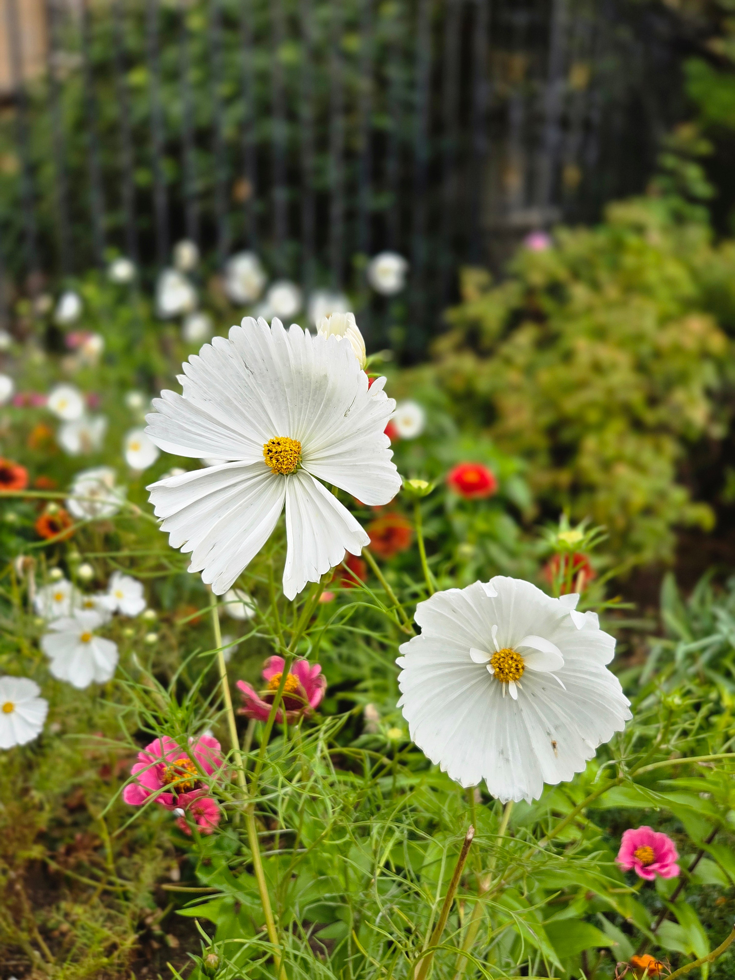 我的攝影集 倫敦