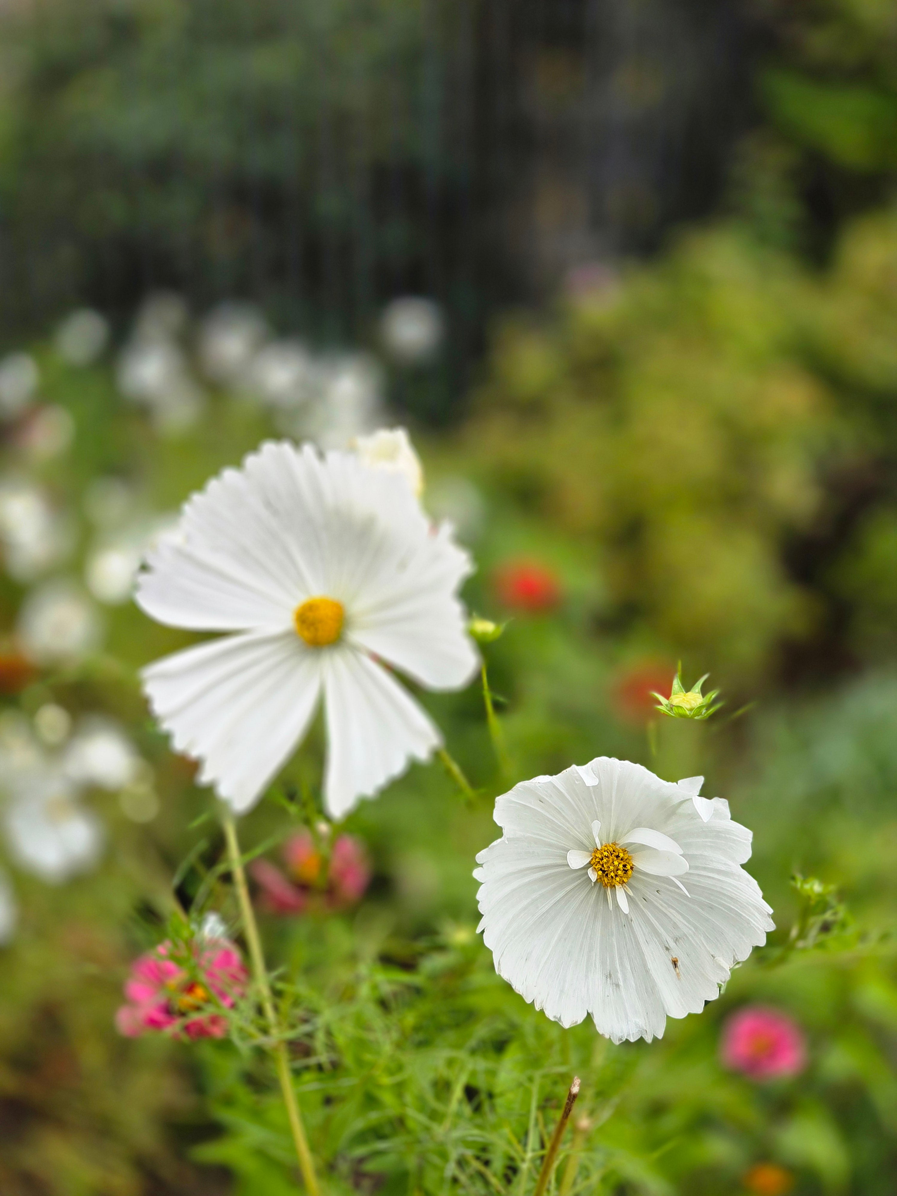 我的攝影集 倫敦