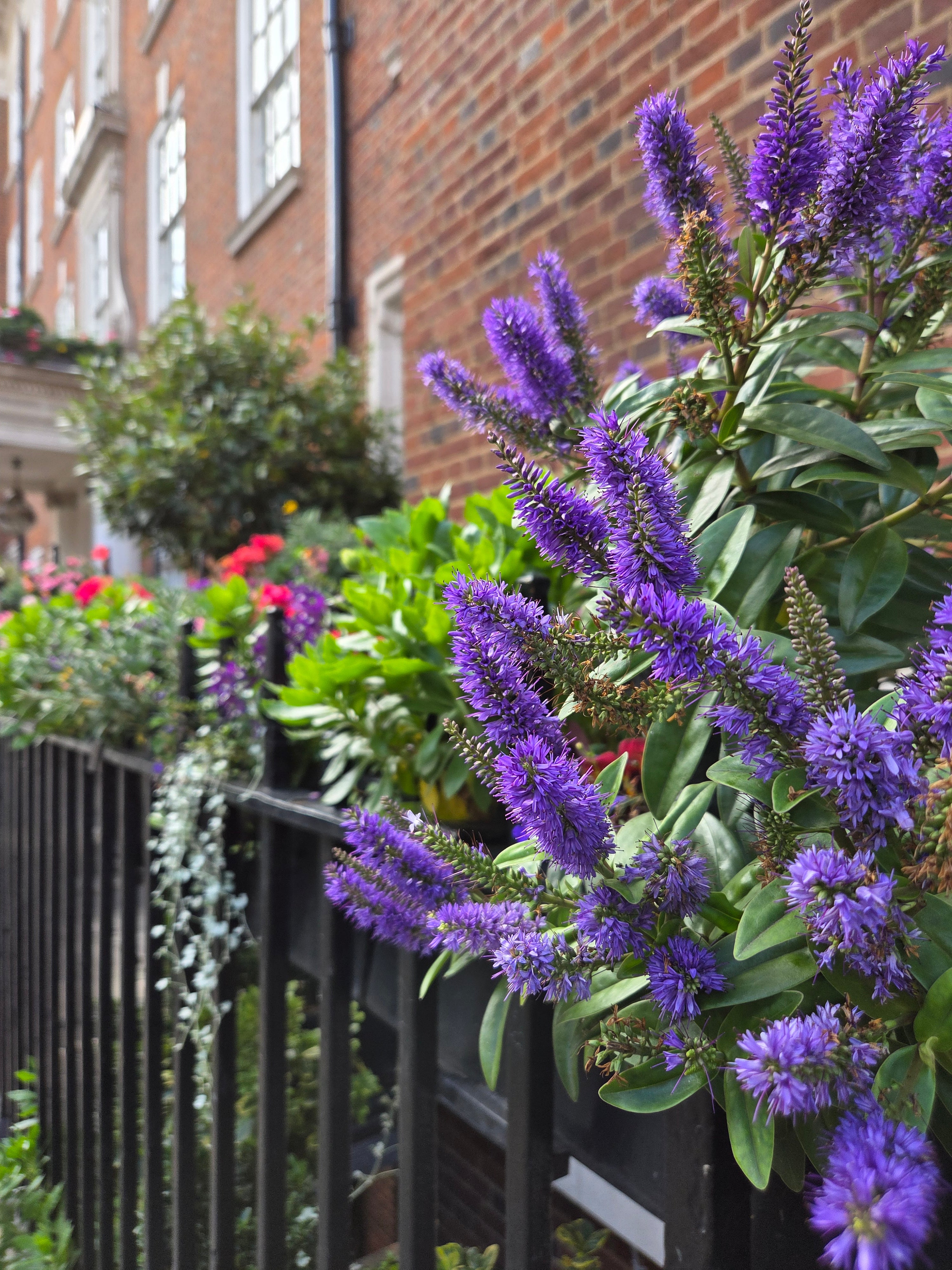 我的攝影集 倫敦