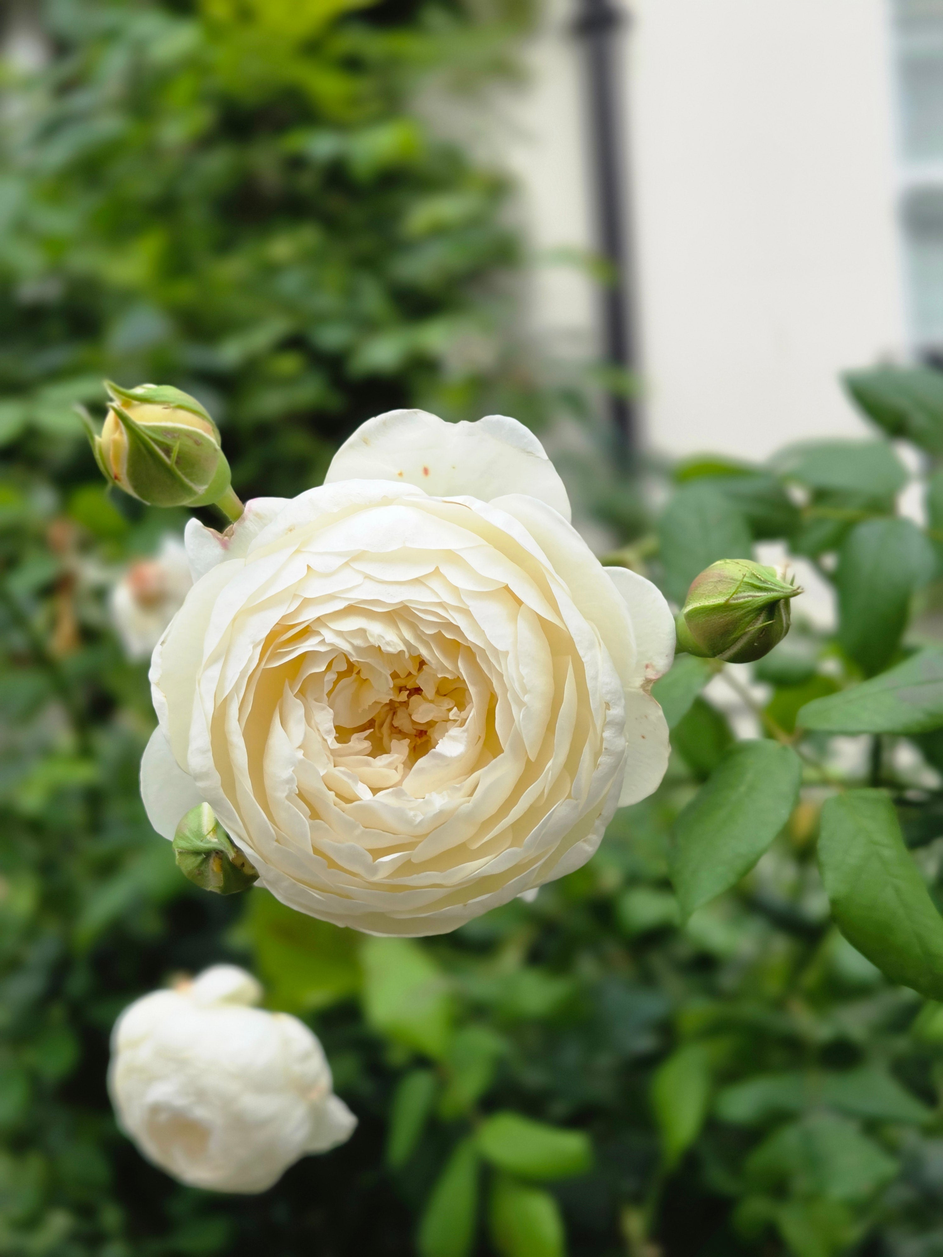 我的攝影集 倫敦