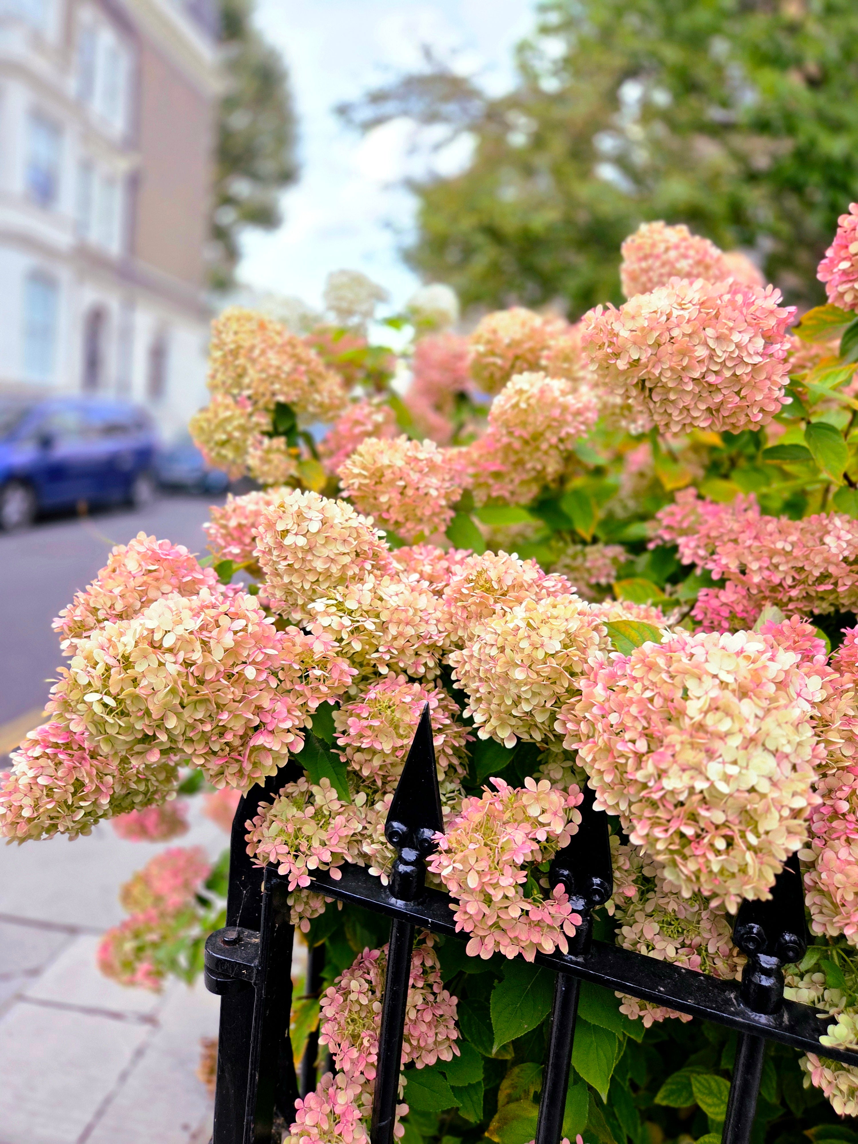 我的攝影集 倫敦