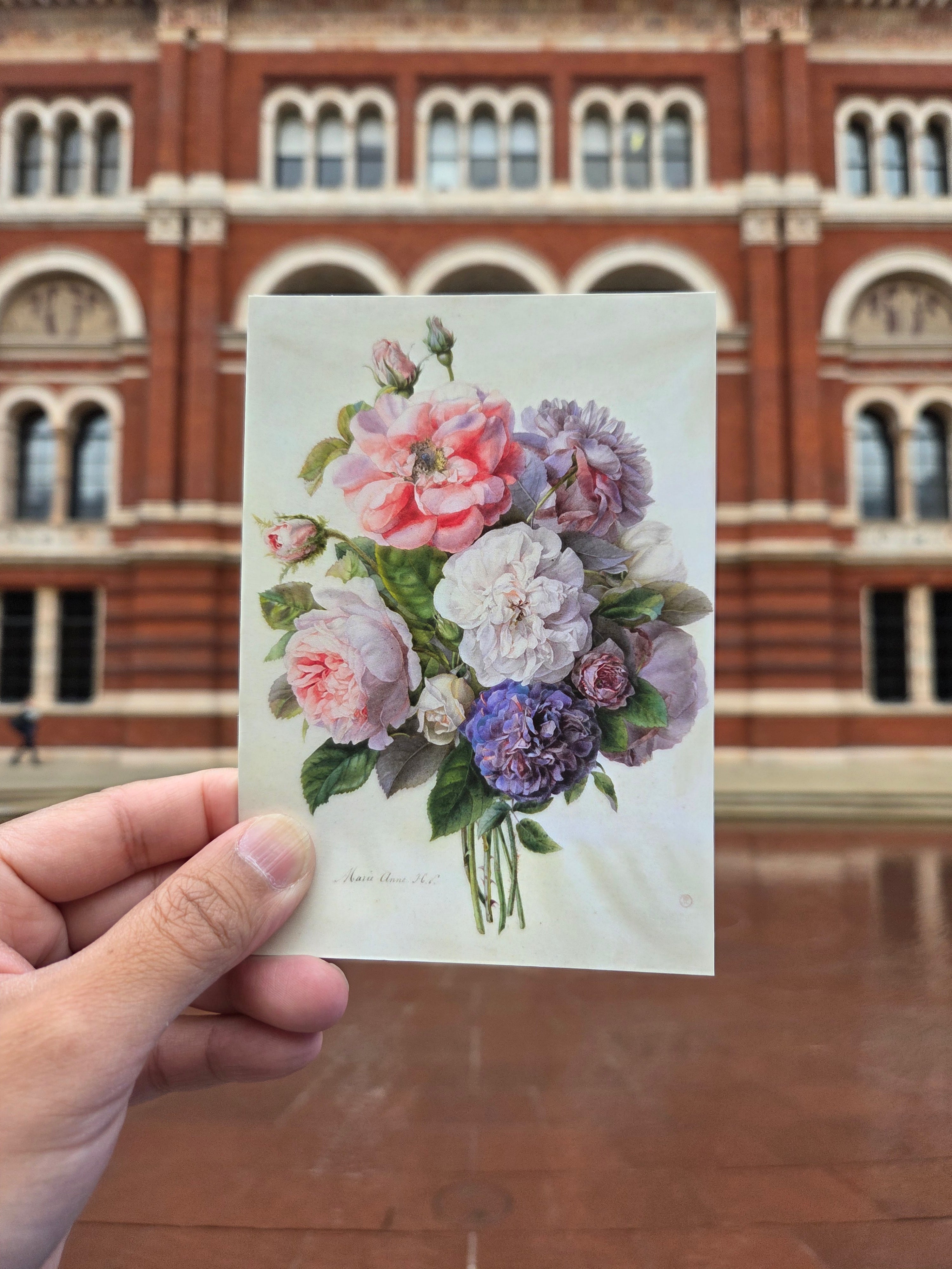 英國v&a博物館 .01