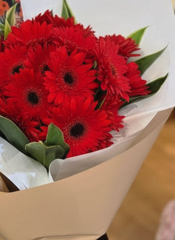 (紅色) 精緻非洲菊花束 flo.38（歐洲明信片免費贈送 💌）