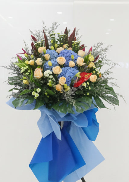 藍海揚帆 open.816