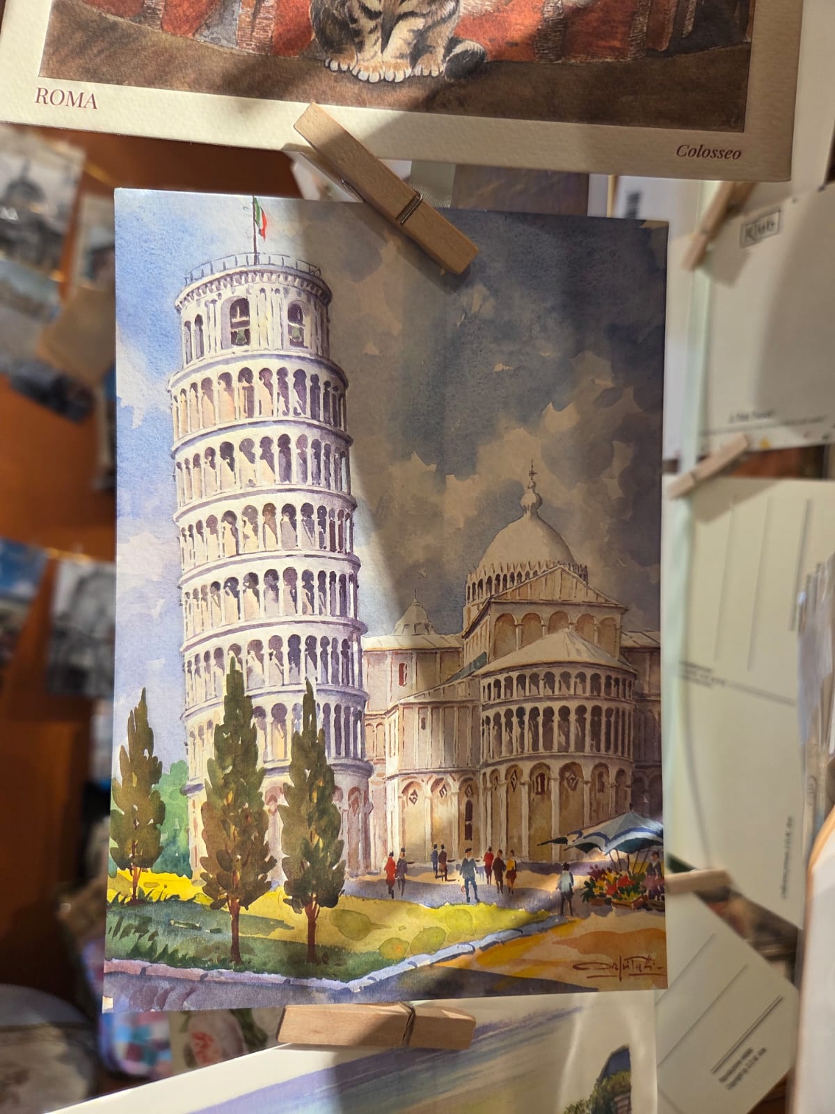 佛羅倫斯 cat .01