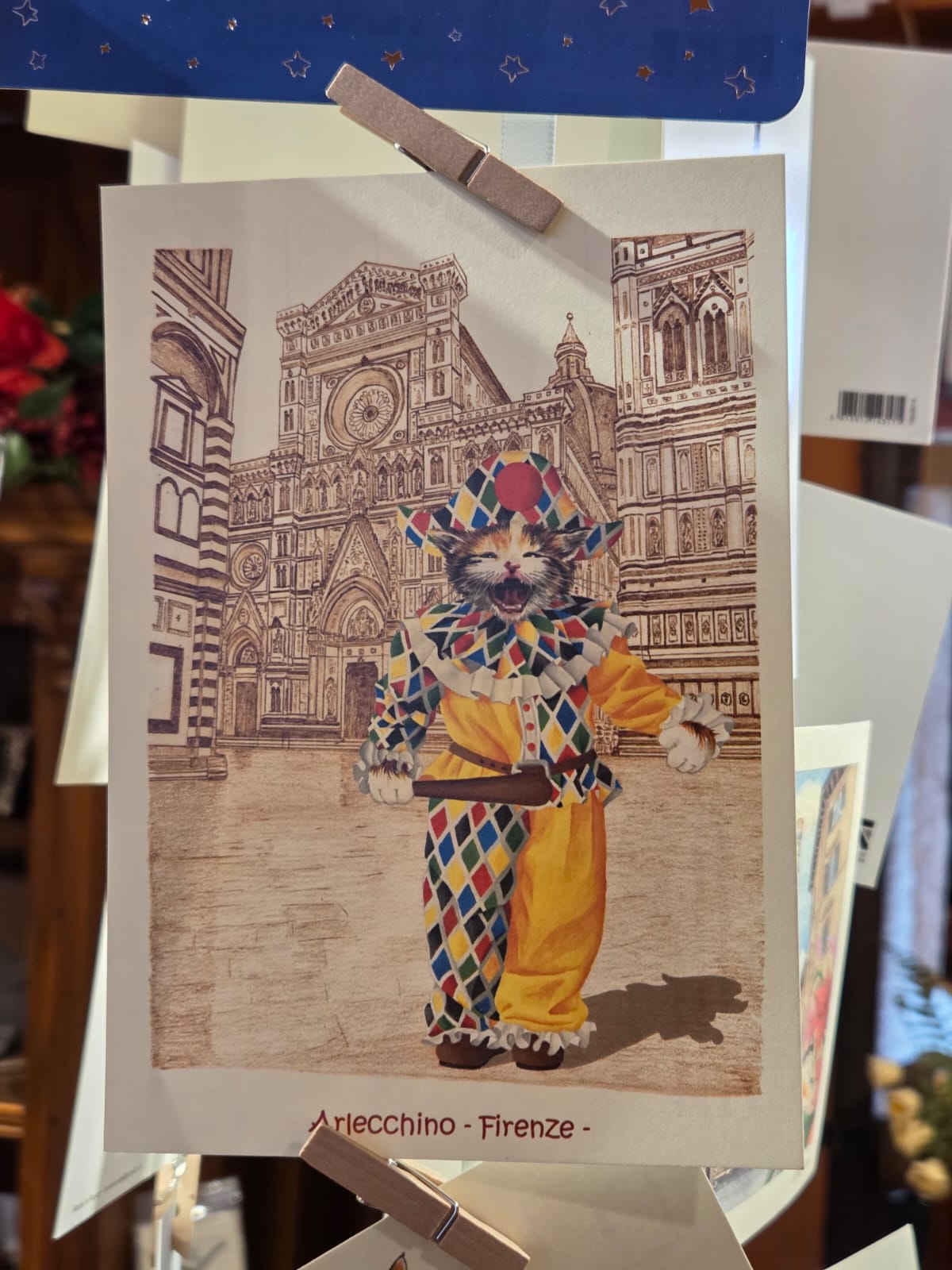 佛羅倫斯 cat .04