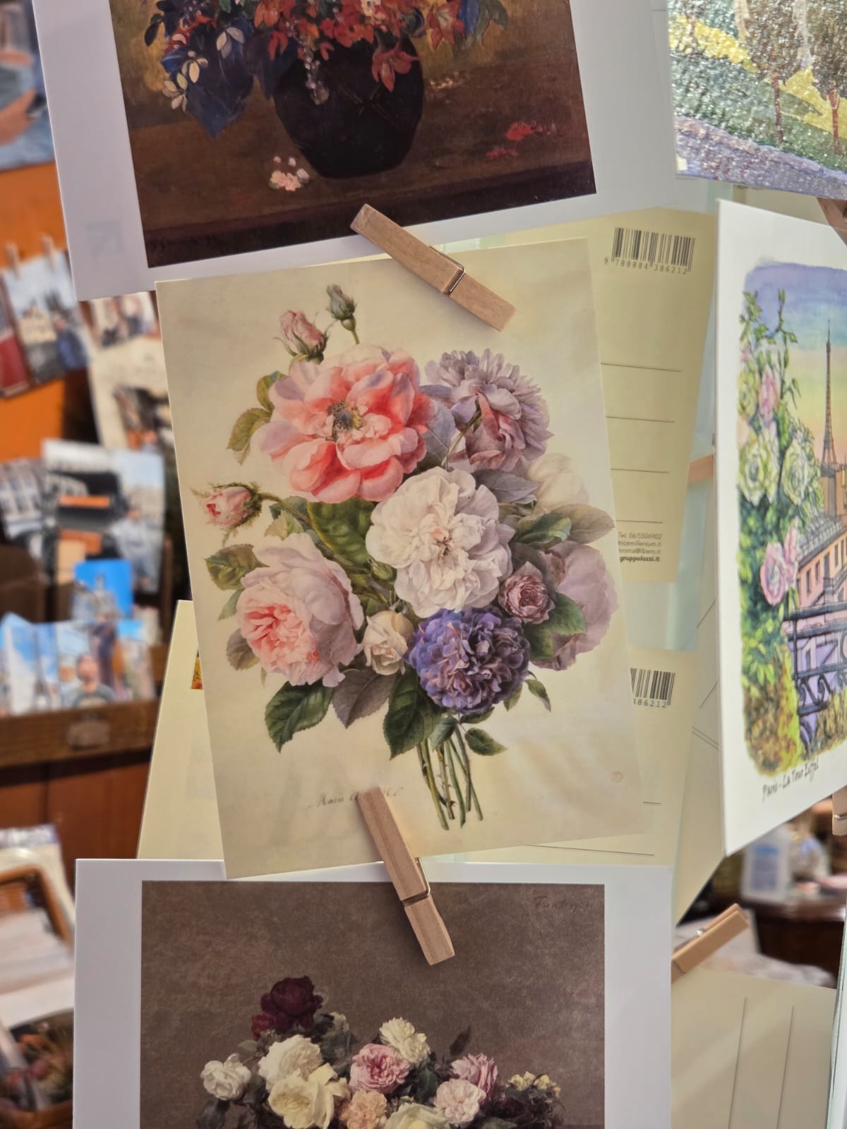 佛羅倫斯 cat .01