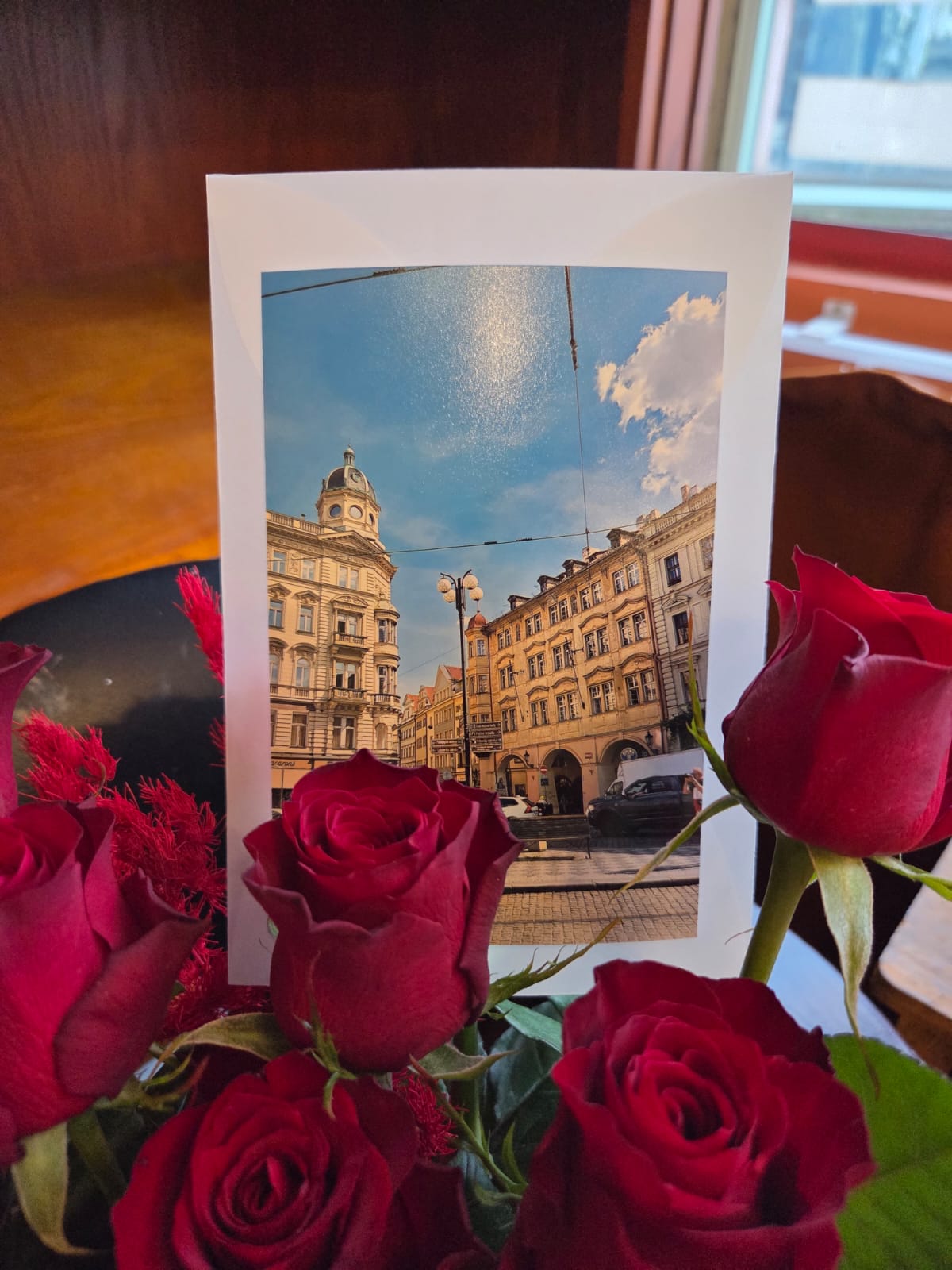 佛羅倫斯 cat .01