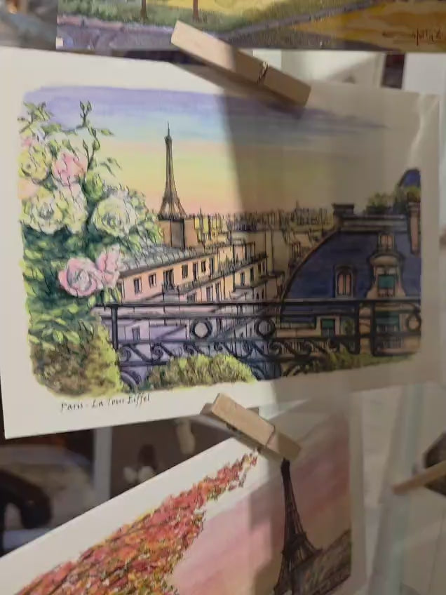 佛羅倫斯 cat .01