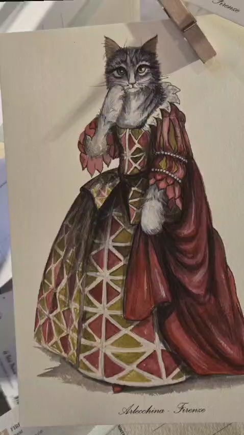 佛羅倫斯 cat .01